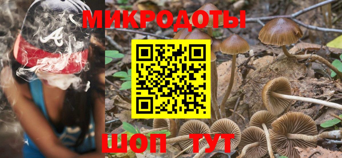 Псилоцибиновые грибы мицелий Мытищи