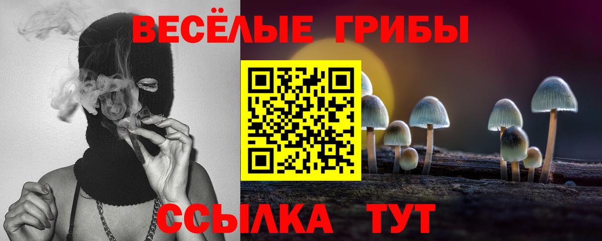 Галлюциногенные грибы мицелий  Вход с VPN  Мытищи 